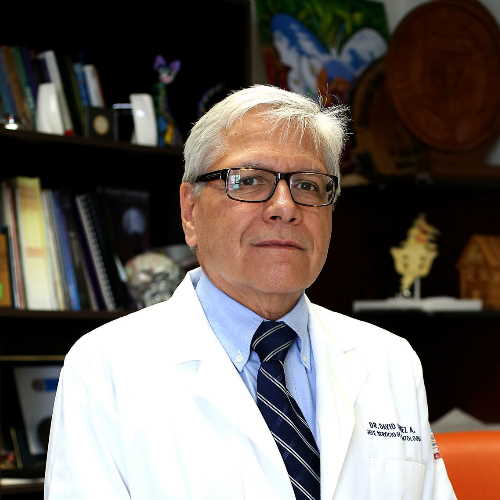 Dr. David Gomez Almaguer